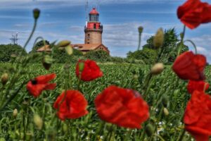 20240610_111356(2) 20240610_111356(2)