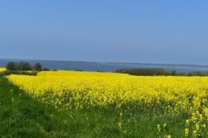 Boiensdorf allgemein02 Boiensdorf allgemein02
